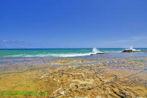 Fotos Praia de Arembepe Costa dos Coqueiros 5