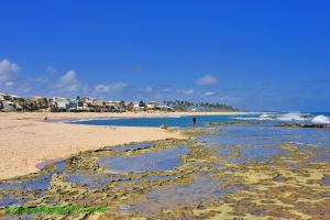 Fotos Praia de Arembepe Costa dos Coqueiros 8