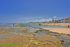 Fotos Praia de Arembepe Costa dos Coqueiros 7