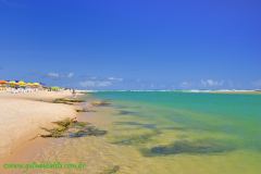 Fotos Praia de Jacuipe Linha Verde BAHIA 4