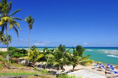 Fotos Praia de Jacuipe Linha Verde BAHIA