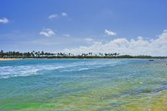 Fotos Praia de Jacuipe Linha Verde BAHIA 9