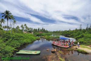 Fotos Praia de Imbassai Mata de Sao Joao 2