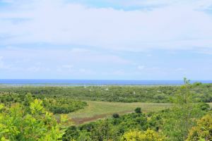 Fotos Praia de Imbassai Mata de Sao Joao Pano