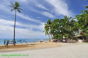 Fotos Praia do Forte Linha Verde