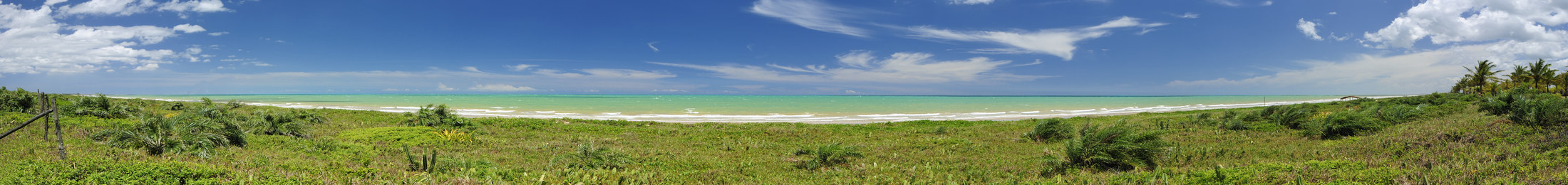 Nova Viçosa Bahia Whale Coast