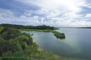 Fotos da Ponte de Funil Ilha da Itaparica 5