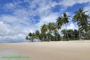 Fotos da Praia de Jiquirica Jaguaripe 5